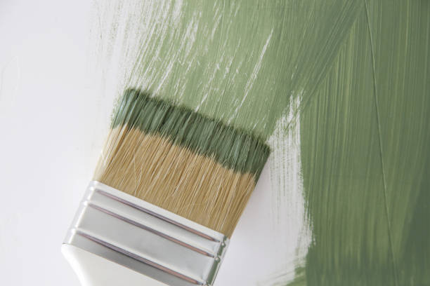 Best Touch-Up Painting  in USA